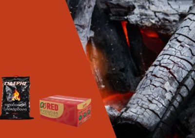 Παραδοσιακά ξυλοκάρβουνα ή μπρικέτες; Πώς να επιλέξεις το κατάλληλο είδος για σένα